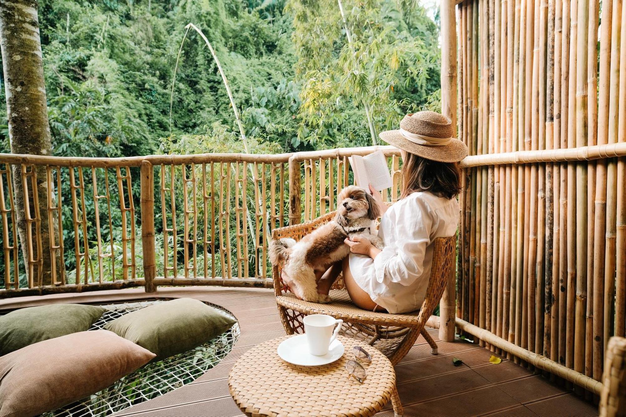 Treehouse De Valentine Villa Balamban Exterior photo